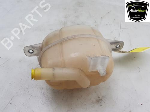 Expansion tank CITROËN NEMO Box Body/MPV (AA_) 1.3 HDi 75 | BP16552317C120 
