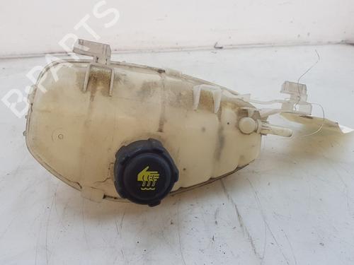 Ekpansionstank RENAULT KANGOO III Box Body/MPV 1.5 Blue dCi 95 (FJAB) (95 hp) 26009418