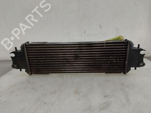 Intercooler Intercooler RENAULT TRAFIC II Van (FL) 1.9 dCi 100 (FL0C, FL0K, FL0B) (101 hp) 35947622 35947622