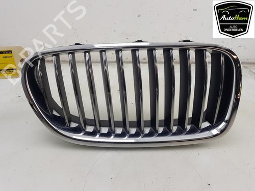Grille BMW 5 (F10) 520 i | BP16678002C40 