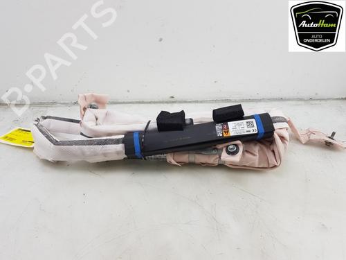 Used Left curtain airbag TESLA MODEL S (5YJS) 75 (388 hp) 15654233