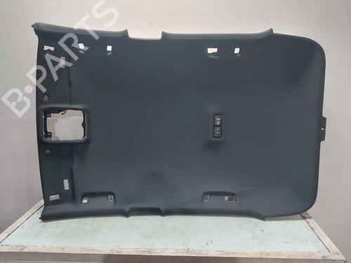 Interiør taket CUPRA BORN (K11) 58 e-boost (231 hp) 30315271