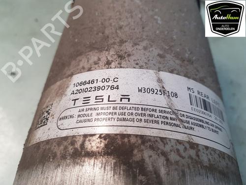 Left rear shock absorber TESLA MODEL S (5YJS) P100D AWD | BP19521091M18 