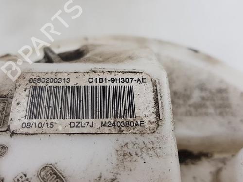 Fuel pump FORD FIESTA VI (CB1, CCN) 1.0 EcoBoost | BP12008018M76 