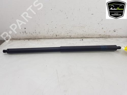 Gassdemper Bakluke TESLA MODEL S (5YJS) Plaid AWD (1020 hp) 22558159