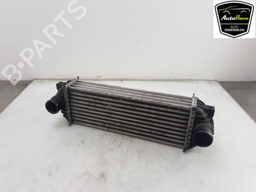 Used Intercooler Intercooler FORD TRANSIT CONNECT (P65_, P70_, P80_) 1.8 Di (75 hp) 12040357 12040357