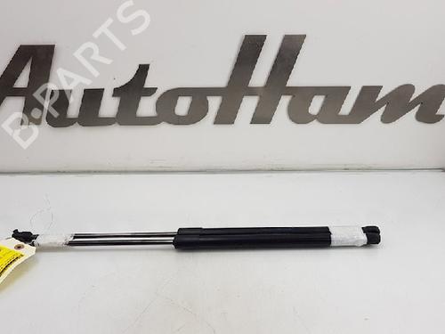 Used Tailgate lift support Tailgate lift support FORD FIESTA VI (CB1, CCN) 1.0 EcoBoost (125 hp) 13142925 13142925