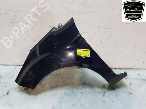 Left front fenders FORD FIESTA VI (CB1, CCN) 1.25 | BP22236972C41 