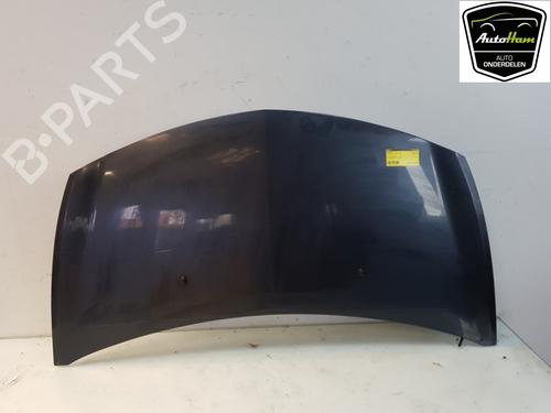 Used Hood RENAULT CLIO III (BR0/1, CR0/1) 1.4 16V (98 hp) 12037921