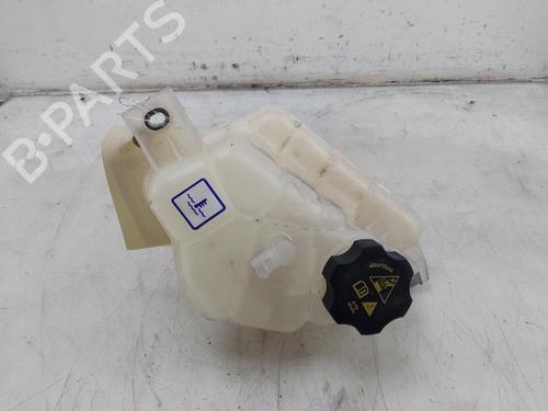 Used Expansion tank ALFA ROMEO STELVIO (949_) 2.0 Q4 (949.AXA2A) (280 hp) 29910630