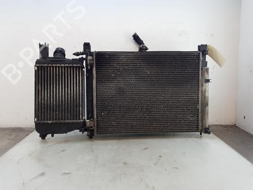 Koelerset DACIA LODGY (JS_) 1.2 TCe (JSAY, JSM0) (115 hp) 28807868