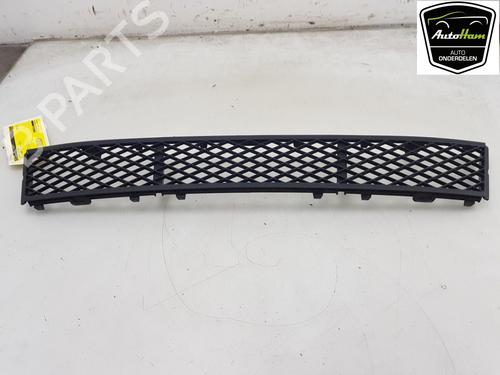 Used Grille BMW 5 (F10) 520 i (184 hp) 16900623