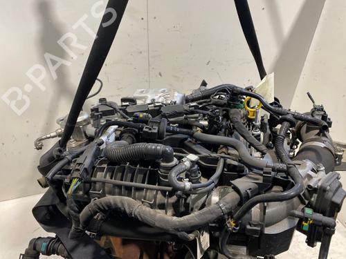 Engine FORD FIESTA VII (HJ, HF) 1.0 EcoBoost | BP31922275M1