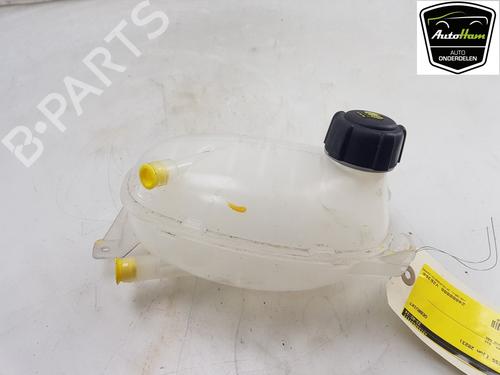 Expansion tank RENAULT EXPRESS Box Body/MPV 1.5 Blue dCi 95 (F6AB) | BP17004833C120 