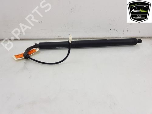 Used Electronic module BMW X5 (F15, F85) xDrive 40 d (313 hp) 13103211