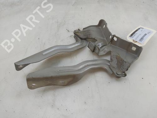 Hinge/Door check strap NISSAN QASHQAI II (J11, J11_) 1.3 DIG-T | BP28808050C146