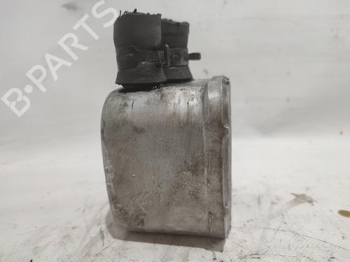 Oil radiator SEAT LEON (1M1)  | BP17832774M33 