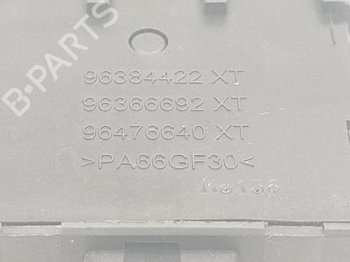 Switch CITROËN C4 Picasso I MPV (UD_) 2.0 HDi 138 | BP30685953I30