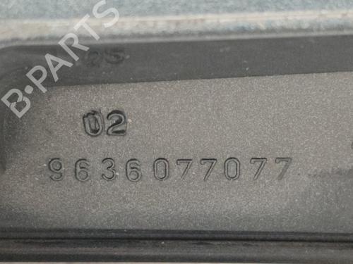 Tailgate handle CITROËN XSARA Coupe (N0) 2.0 HDi 109 | BP20485646C132 