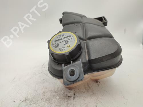 Expansion tank FORD MONDEO IV (BA7) 2.0 TDCi | BP13515226C120 