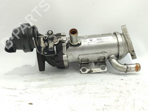 EGR-Ventil RENAULT LAGUNA II (BG0/1_) [2001-2007]  29195056