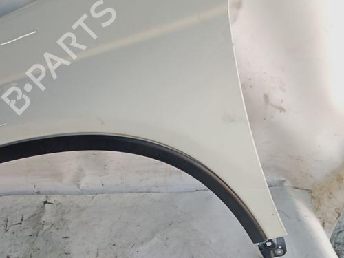 Left front fenders HONDA CR-V III (RE_) 2.2 i-CTDi 4WD (RE6) | BP29892095C41