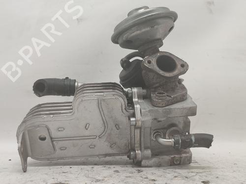 Egr VW PHAETON (3D1, 3D2, 3D3, 3D4, 3D6, 3D7, 3D8, 3D9) 3.0 V6 TDI 4motion | BP27863191M69 