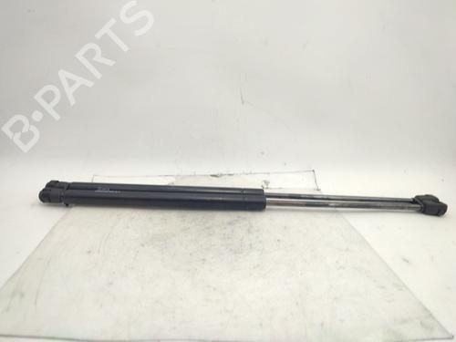 tailgate-lift-support-peugeot-307-sw-3h-2002-2003-2004-2005-2006-2007-2008-2009-33244016 main image