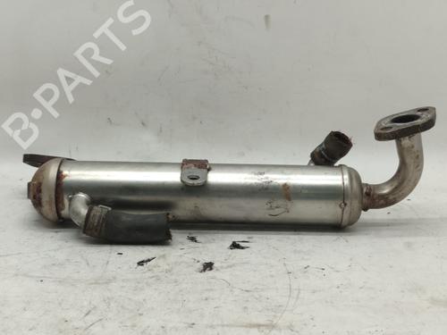 Egr OPEL COMBO Box Body/MPV  | BP17105497M69 