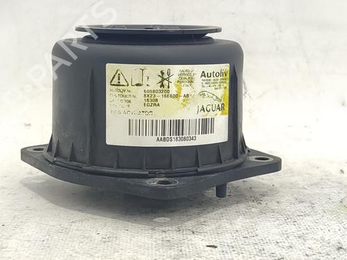 Used Passenger airbag Passenger airbag JAGUAR XF I (X250) 2.7 D (207 hp) 36037807 36037807