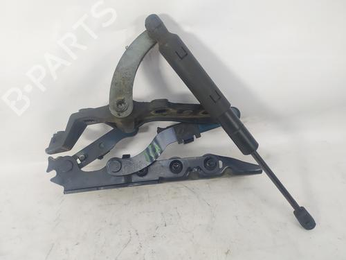 Hinge/Door check strap MERCEDES-BENZ S-CLASS (W221, V221) S 320 CDI (221.022, 221.122) | BP14324796C146 