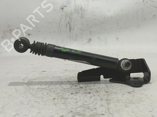 Hood lift support LAND ROVER RANGE ROVER SPORT I (L320)  | BP16952221C139 