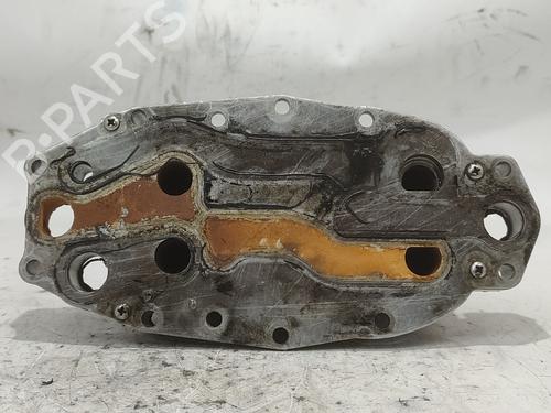 Oil radiator LAND ROVER RANGE ROVER SPORT I (L320)  | BP16952231M33 