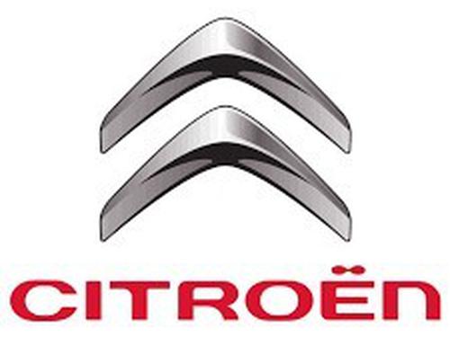 Front left interior door handle CITROËN C3 Pluriel (HB_) 1.6 | BP11693039I13 - Image 5