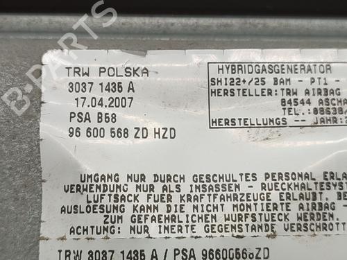 Other CITROËN C4 Grand Picasso I (UA_) 2.0 HDi 138 | BP23075030O1 