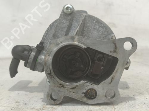 Vacuum pump RENAULT MEGANE II (BM0/1_, CM0/1_)  | BP16951216M80 