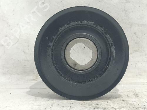 Used Pulley RENAULT LAGUNA III (BT0/1) 2.0 dCi (BT01, BT08, BT09, BT0E, BT0K, BT12, BT1C, BT1D,... (150 hp) 25746295