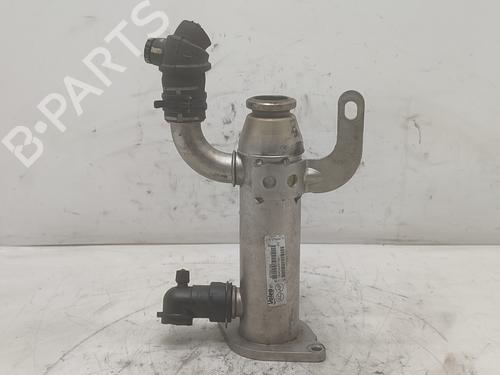 Egr CITROËN C5 II (RC_)  | BP17560015M69 