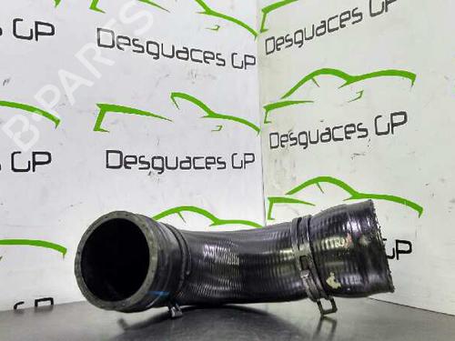 Pipe SEAT IBIZA III (6L1) 1.9 TDI | BP14325600M125 