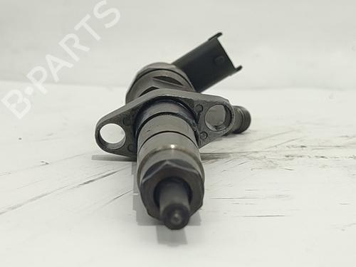 Injector RENAULT AVANTIME (DE0_) 2.2 dCi (DE01) | BP28211432M100 