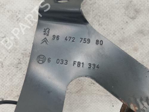 Horn PEUGEOT 307 (3A/C) 2.0 HDi 110 | BP24940155E13 