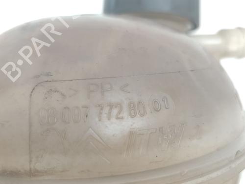Expansion tank CITROËN C3 II (SC_) 1.2 VTi 82 | BP28214976C120 