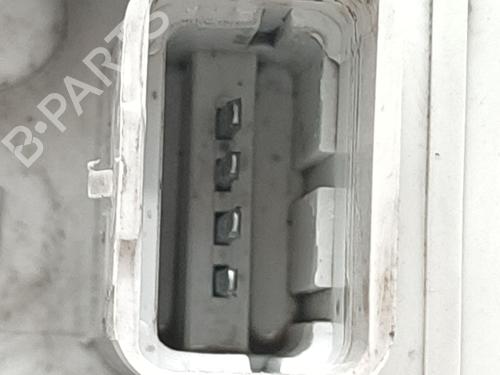 Lamp holder RENAULT MEGANE II (BM0/1_, CM0/1_) | BP30149942L10