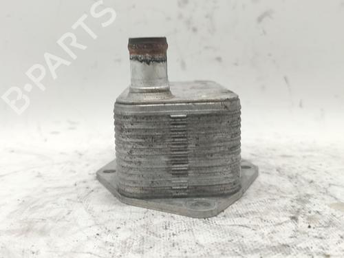 Oil radiator BMW 3 (E46) 320 d | BP30053693M33 