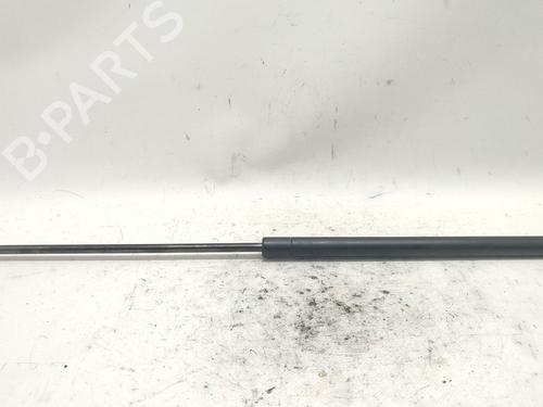hood-lift-support-porsche-cayenne-9pa-2002-2003-2004-2005-2006-2007-2008-2009-2010-37467411 main image