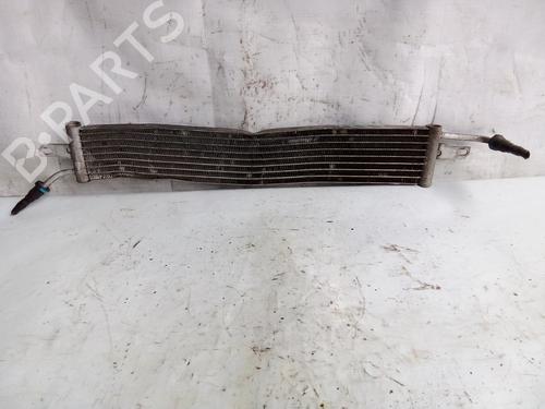 Oliekøler LAND ROVER RANGE ROVER SPORT I (L320)  | BP16952047M33 