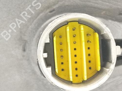 Right mirror RENAULT LAGUNA II (BG0/1_)  | BP29195054C27 