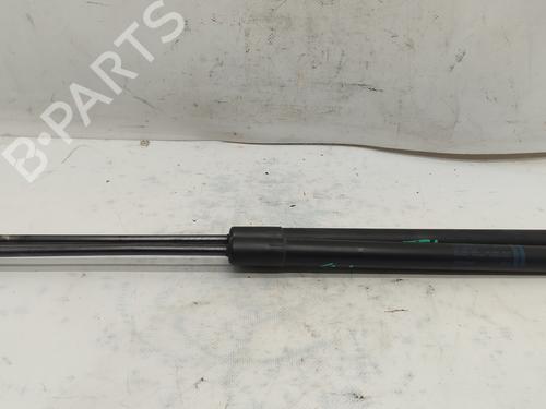 Gasdæmper bagklap AUDI A6 Allroad C6 (4FH) [2006-2011]  23094044