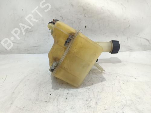 Expansion tank RENAULT LAGUNA II (BG0/1_) 1.9 dCi (BG0R, BG0E) | BP26587438C120 