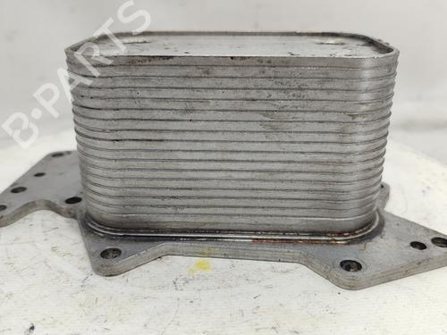 Oil radiator AUDI A6 C6 Avant (4F5) 2.7 TDI | BP19429687M33 